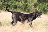 FILA BRASILEIRO 124